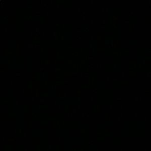 Meet your Posher, Larry